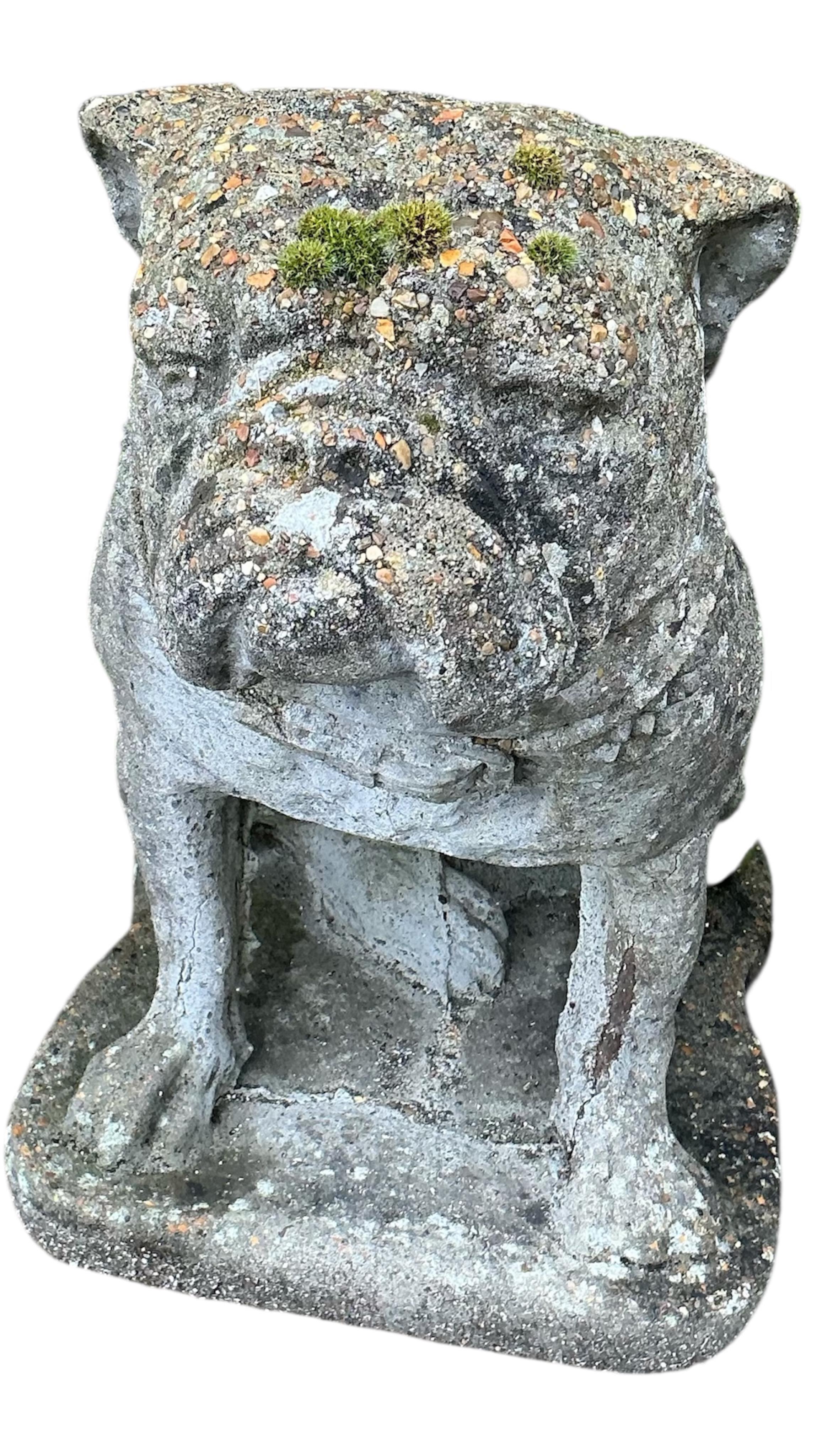 A pair of reconstituted stone bulldog garden ornaments, height 47cm